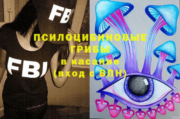 MDMA Новозыбков
