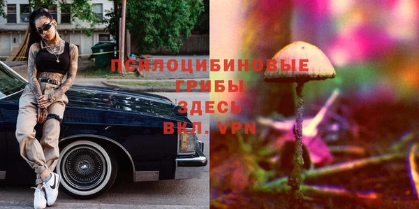 стафф Нея