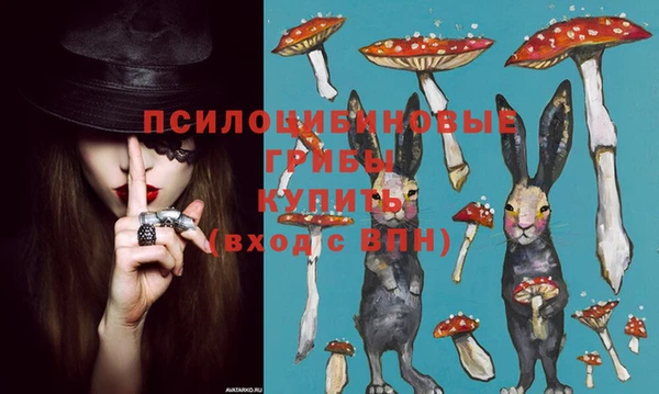 стафф Нея