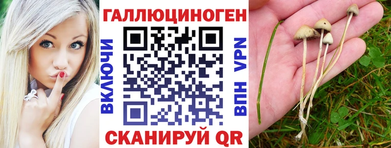 Купить закладки  Тейково  Псилоцибиновые грибы мицелий 